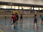 volleybal